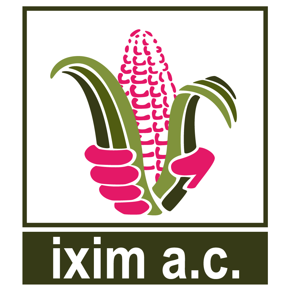 Logo IXIM