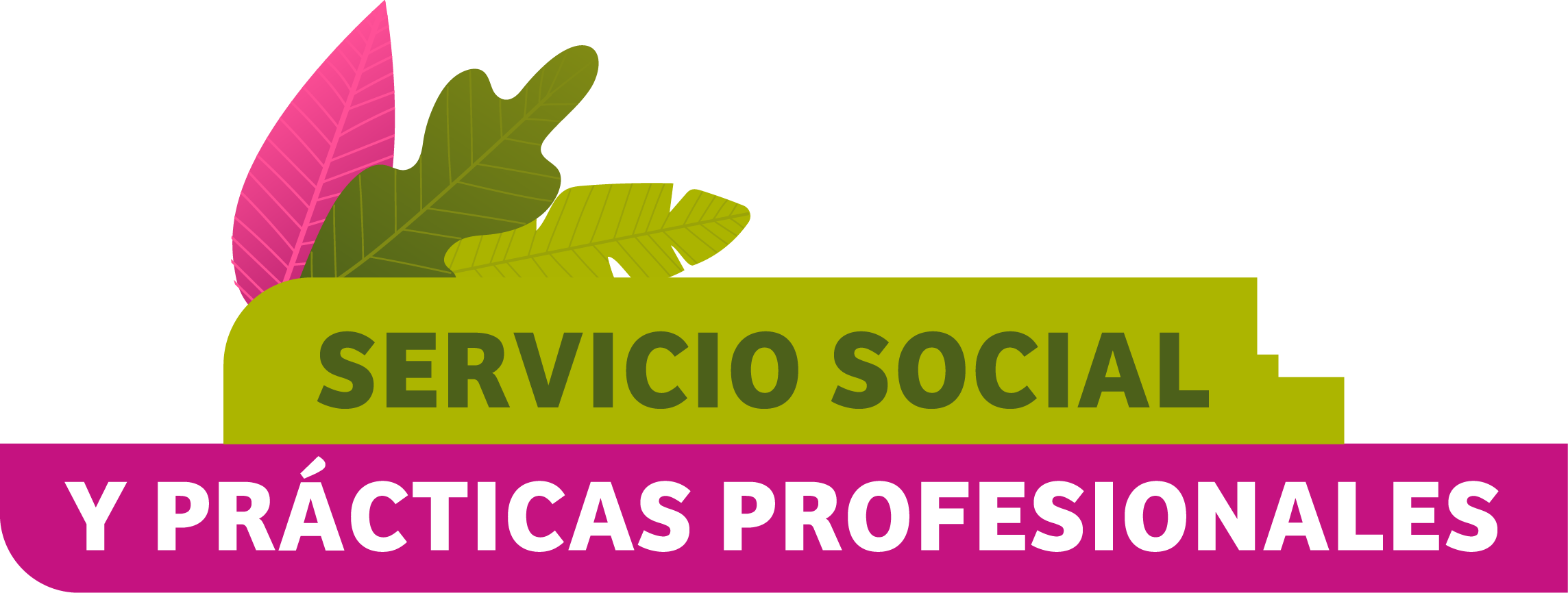 SERVICIO SOCIAL Y PRÁCTICAS PROFESIONALES