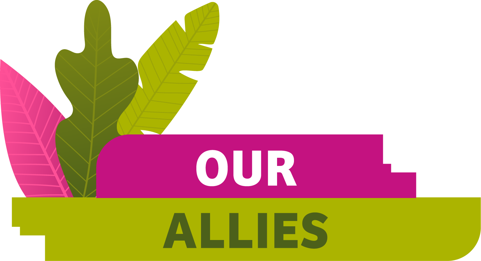 OUR ALLIES