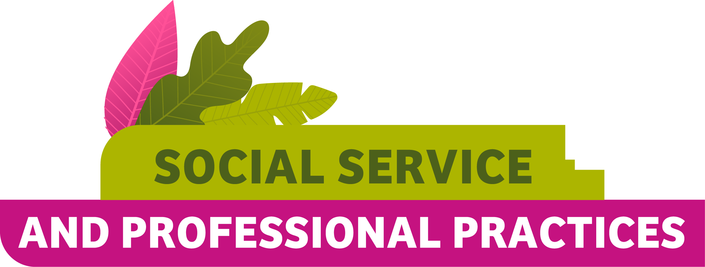 SOCIAL SERVICE AND PROFESSIONAL PRACTICES