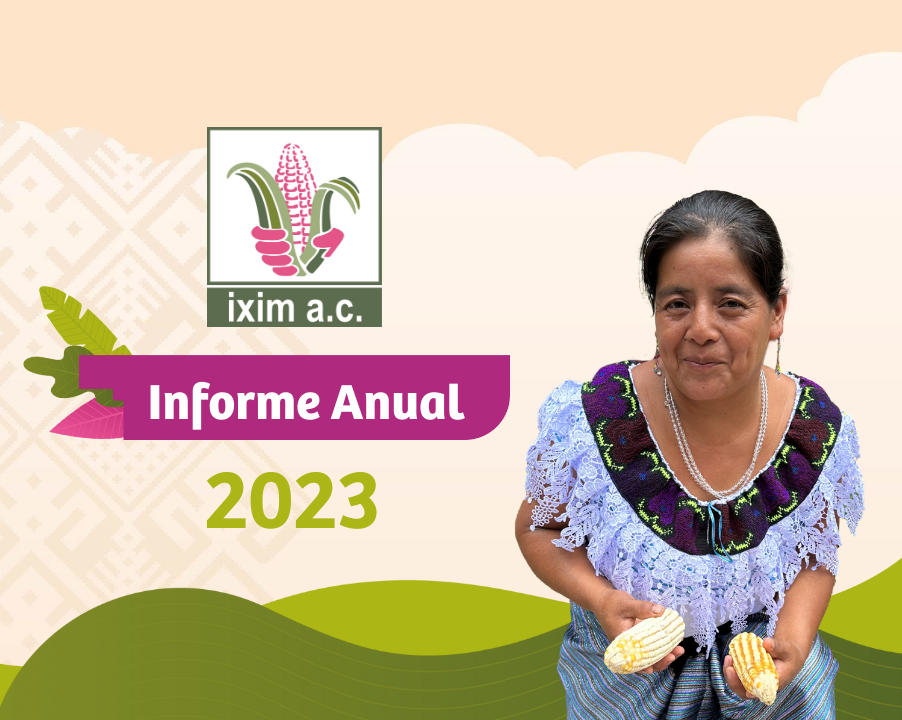 Informe anual IXIM 2023